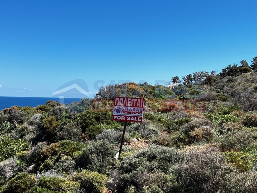 (For Sale) Land Agricultural Land  || Cyclades/Tinos Chora - 7.045 Sq.m, 110.000€ 