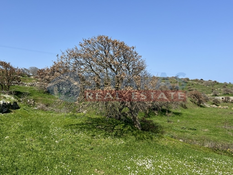 (For Sale) Land Plot || Cyclades/Tinos Chora - 1.189 Sq.m, 75.000€ 