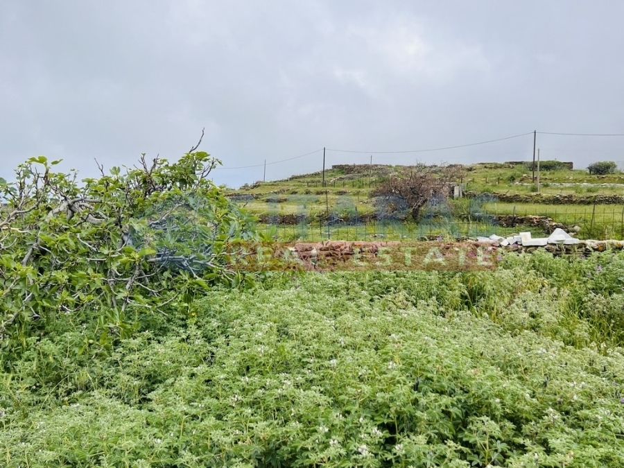 (For Sale) Land Plot || Cyclades/Tinos Chora - 875 Sq.m, 85.000€ 